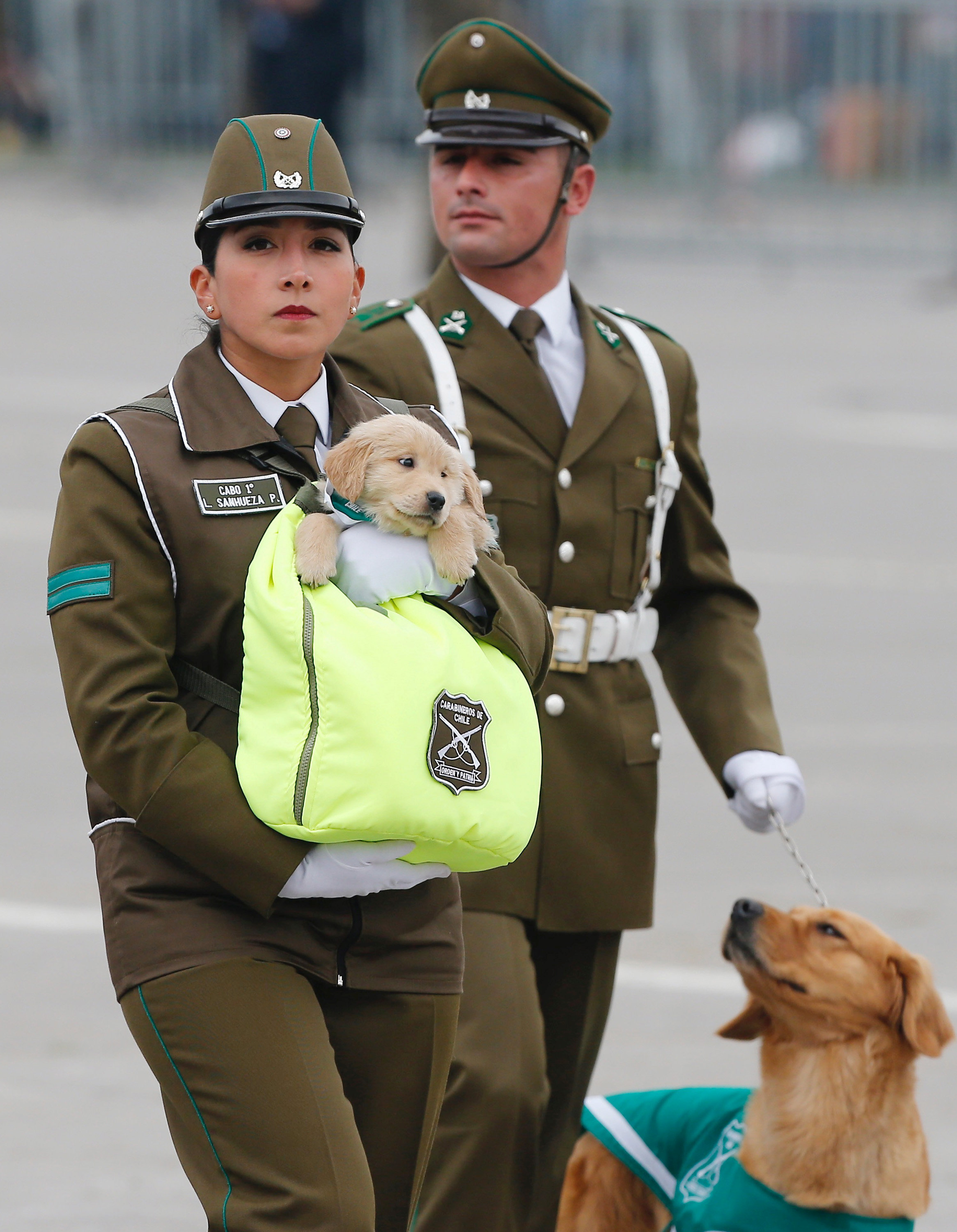 智利军服图片