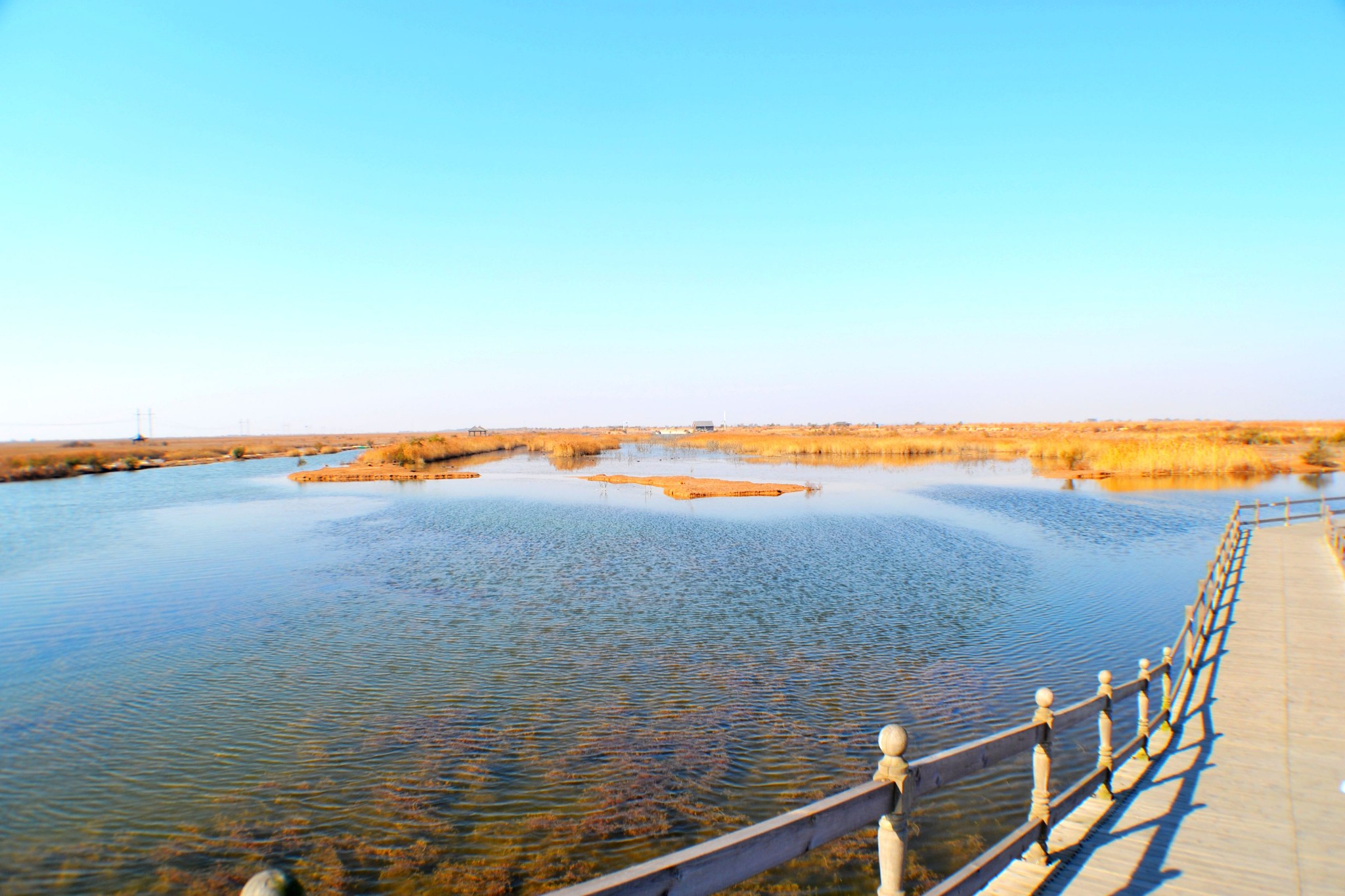 我国最大三角洲,年造陆地31平方公里,以390米速度向东推进!