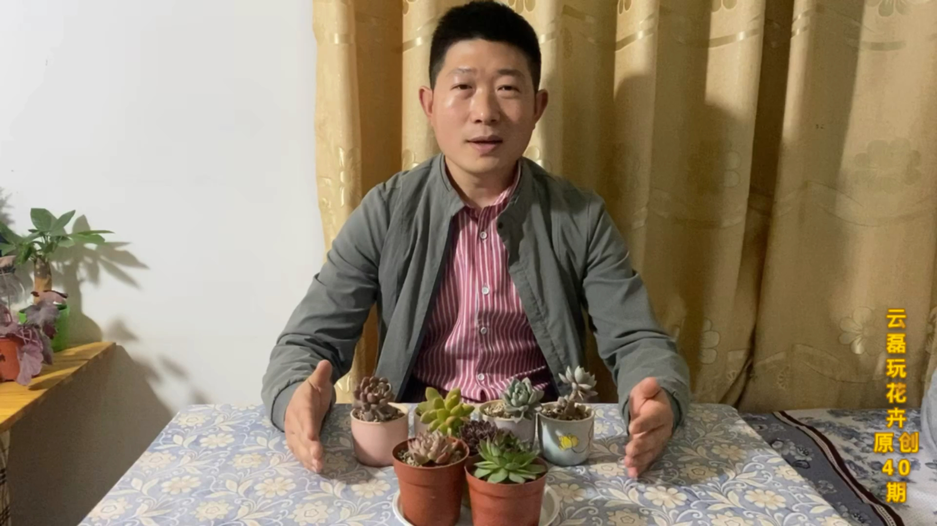 萌萌哒多肉小盆栽这么可爱,你喜欢吗?一起看看多肉怎么养吧!