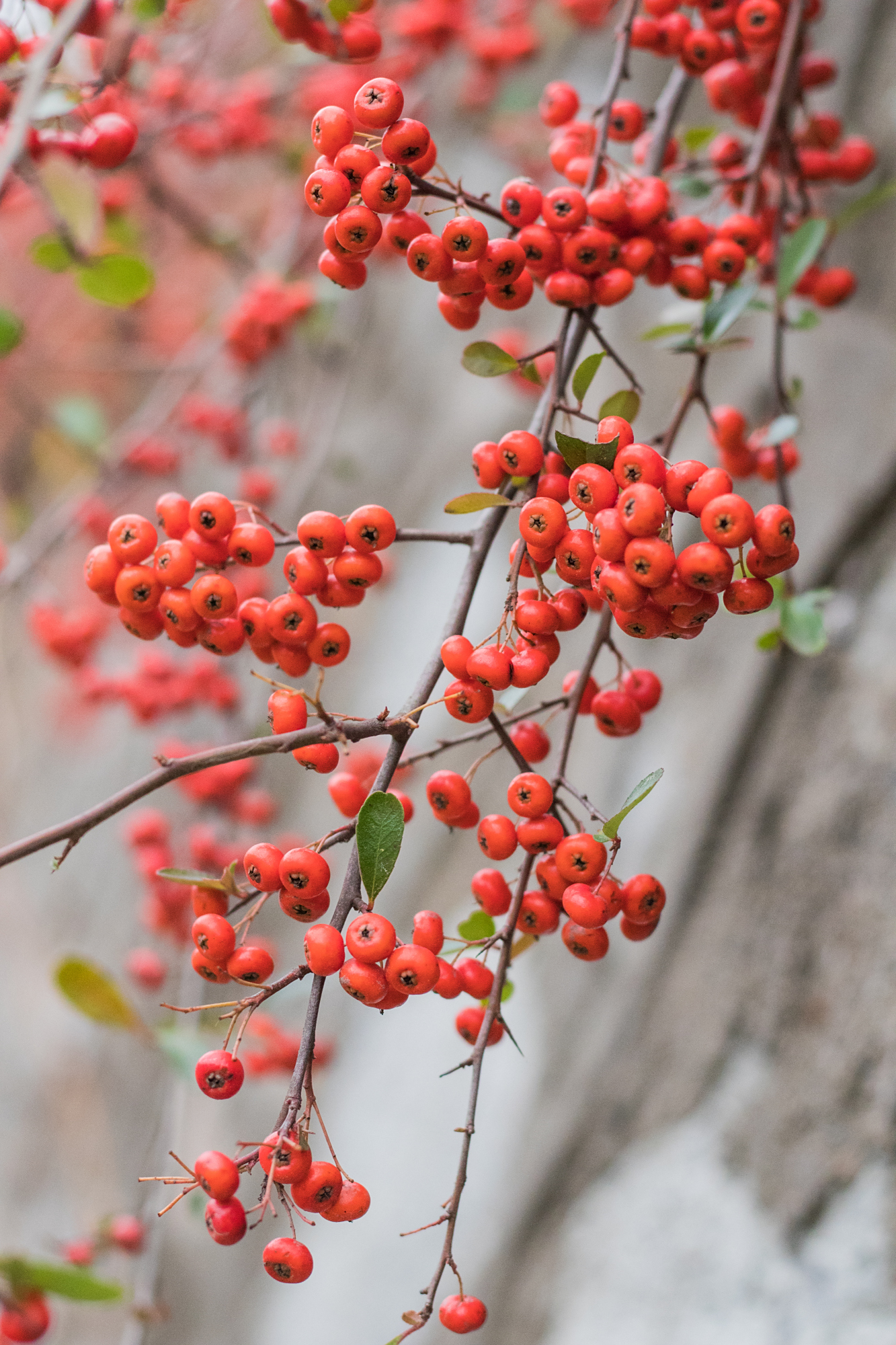 摄影日常,美图照片
