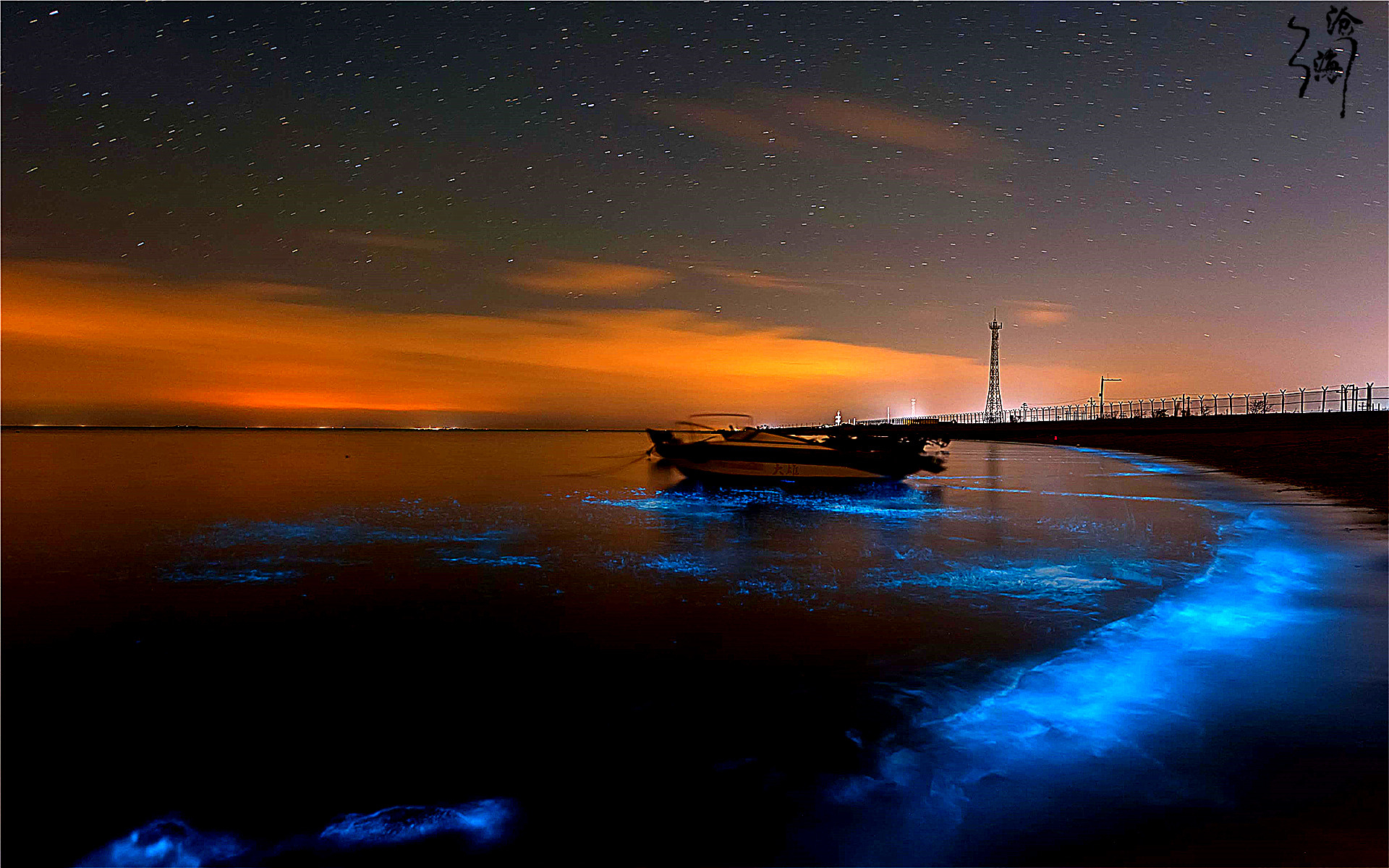 荧光海滩,多发生在马尔代夫的海边,生活在海洋中的无数浮游生物体内