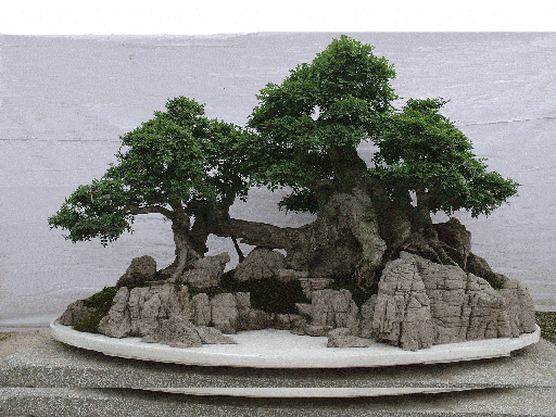 盆景 假山 - 2020年最新商品信息聚合专区 - 百度爱采购