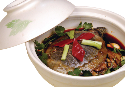 有一种味道叫做时尚,有一种口感叫做迷人叫做迷人,这