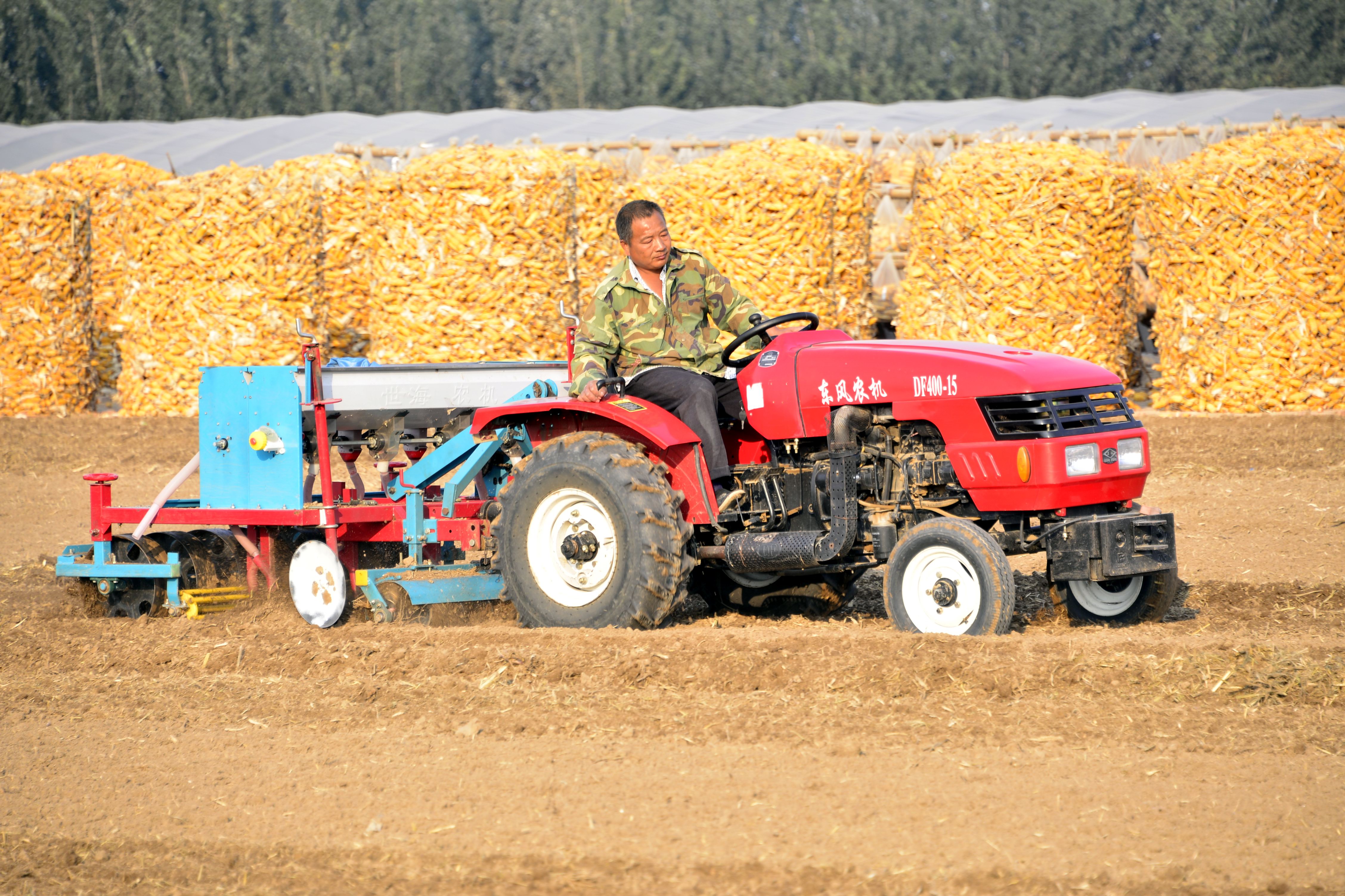 家庭农场秋播忙