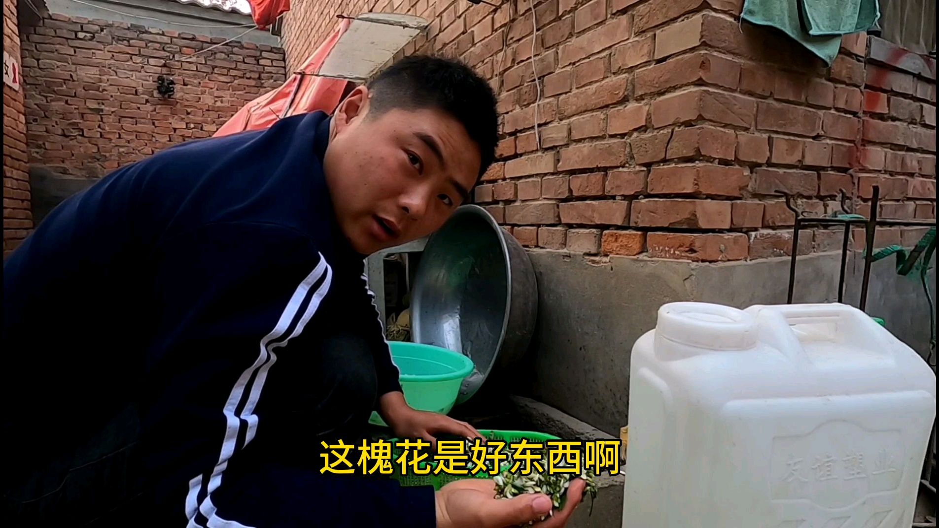 大华教你做道菜,槐花炒蛋+凉拌蒜薹,简单又美味