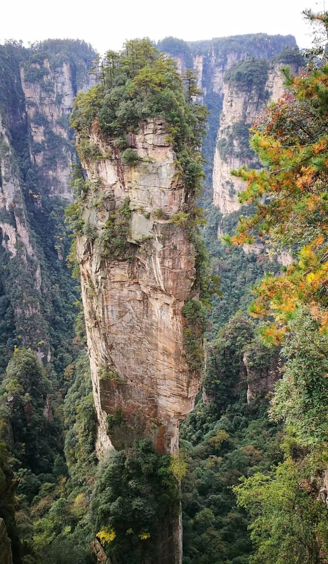 太极拳的含胸拔背