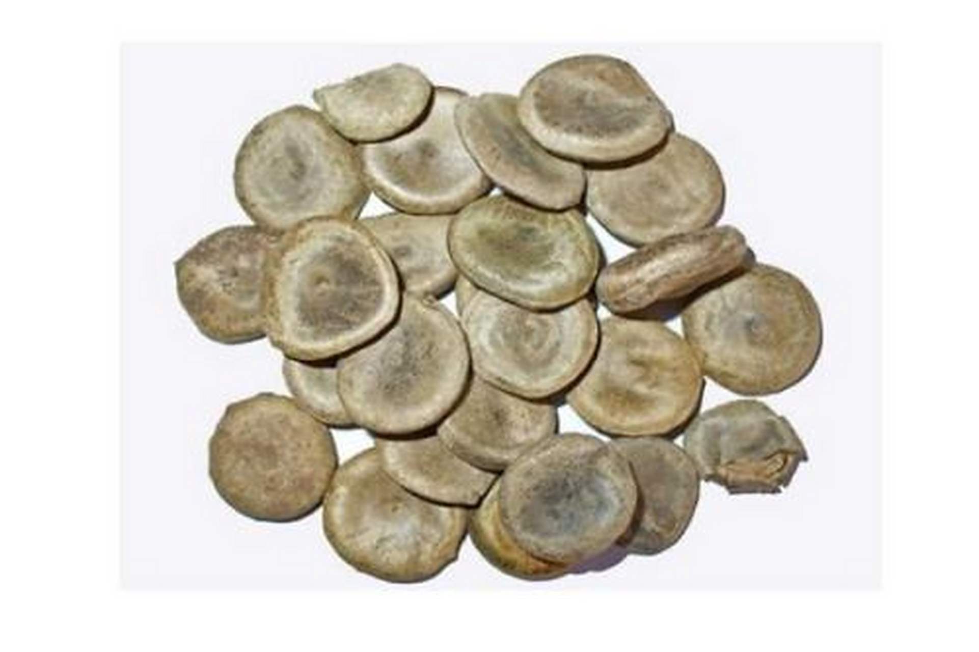 为马钱子的炮制加工品.马钱生于热带,亚热带地区的深山老林中.