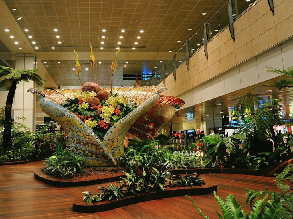 全世界最美的机场,有瀑布和树林,如同一座花园城市