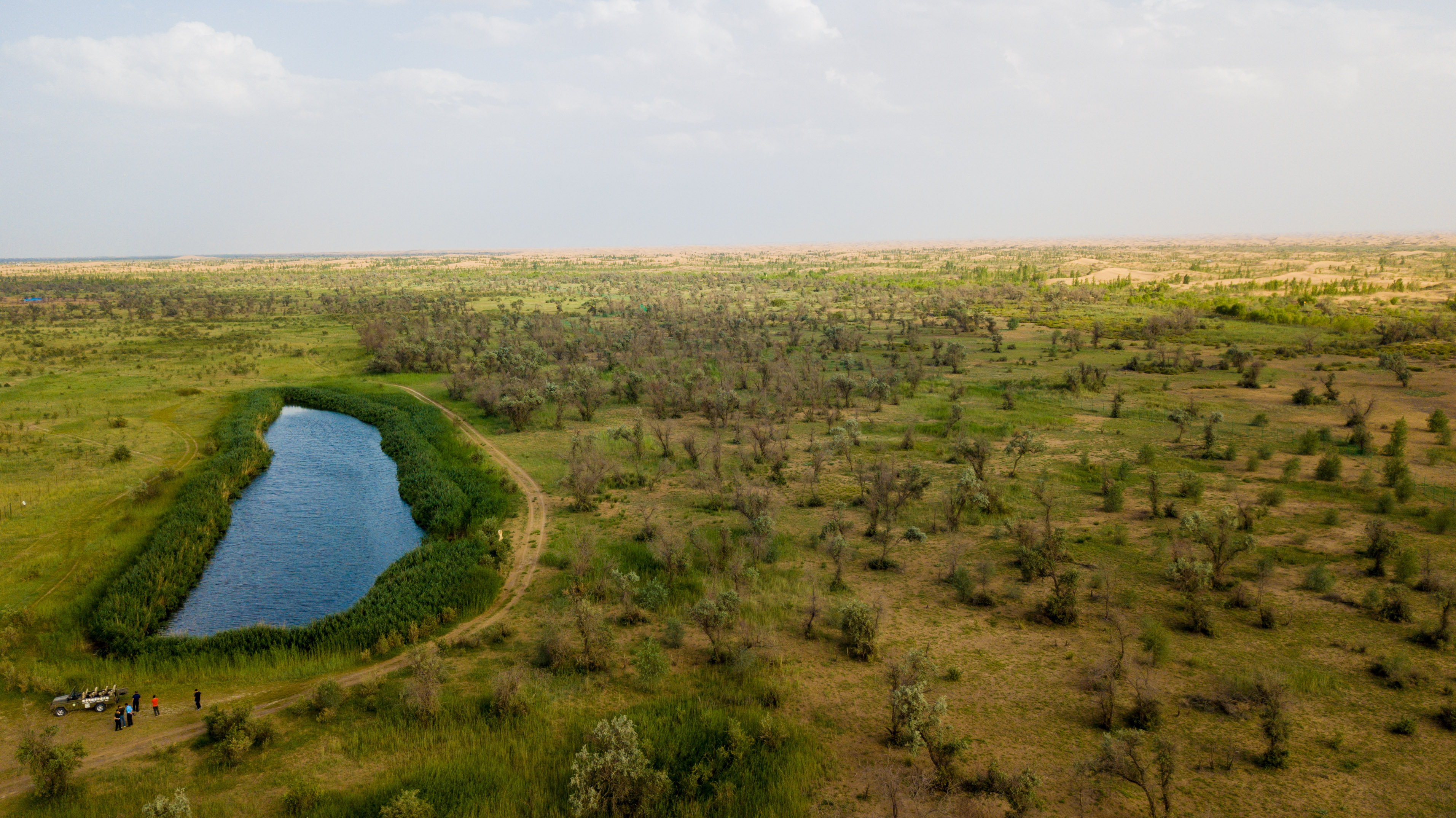 库布其治沙"黑科技"创新显威力(16)