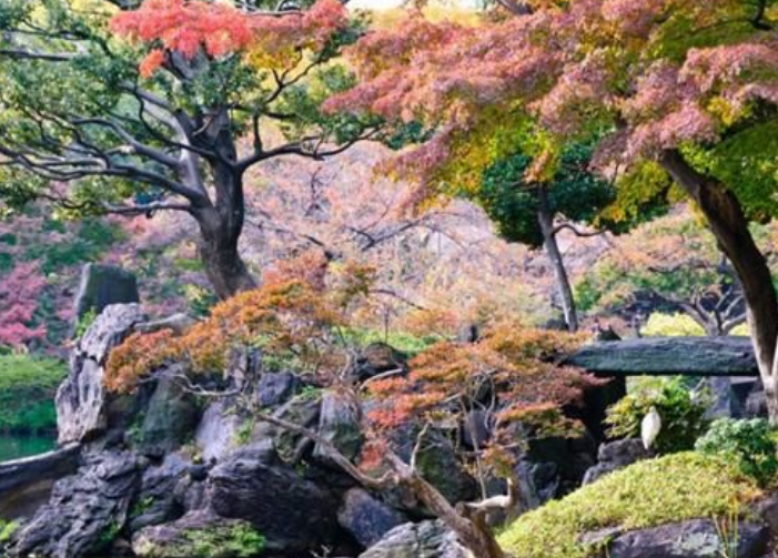 东京现代化的后乐园