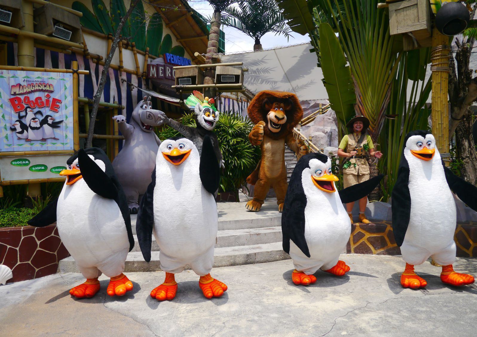 游览影城务必要赶早,因为这里几乎每天都有很多游客,排队游玩会浪费