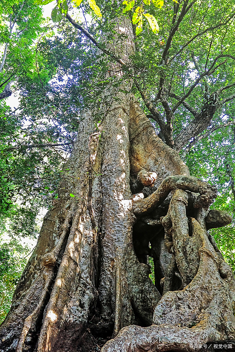 宁海财神谷旅游景点