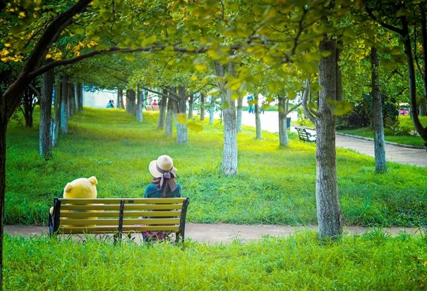 盘点郑州5席公园住宅 抢休闲美景兼备之家