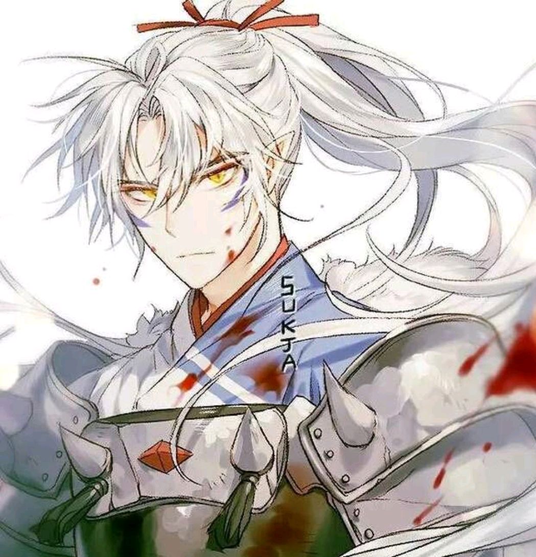 犬夜叉和杀生丸,能超越犬大将的只有杀生丸