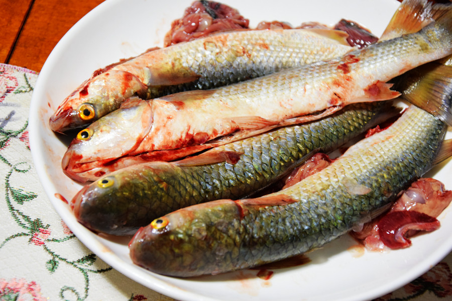 清蒸梭鱼,肉质鲜嫩又营养,一盘子都不够吃