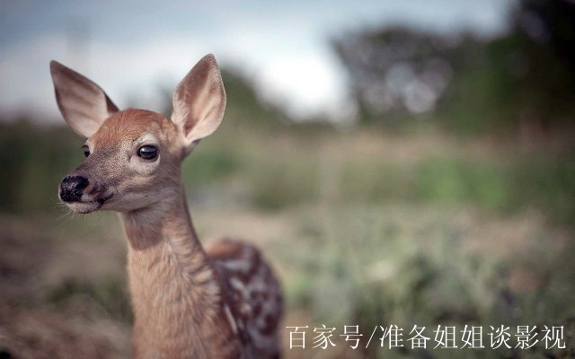 簡短有深度的經典語錄,獨特有內涵,發朋友圈綽綽有餘