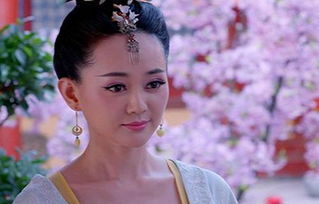 专家打开长乐公主的墓,发现盗墓贼无耻行为,怪她生前太受宠