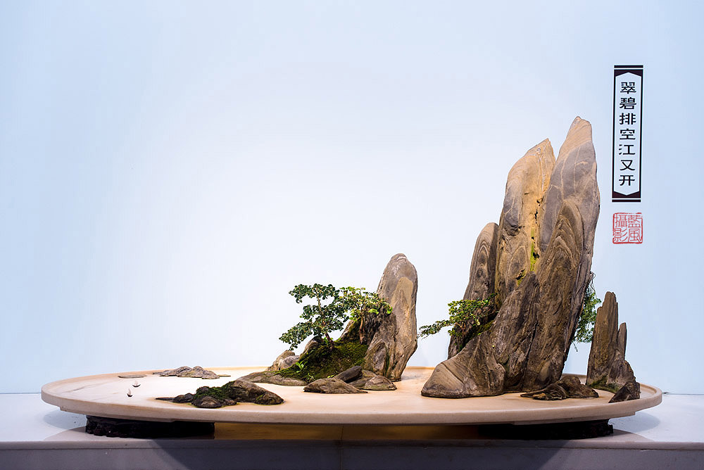 意境万千犹如无声的诗,一组山水盆景名家作品欣赏,喜欢请收藏