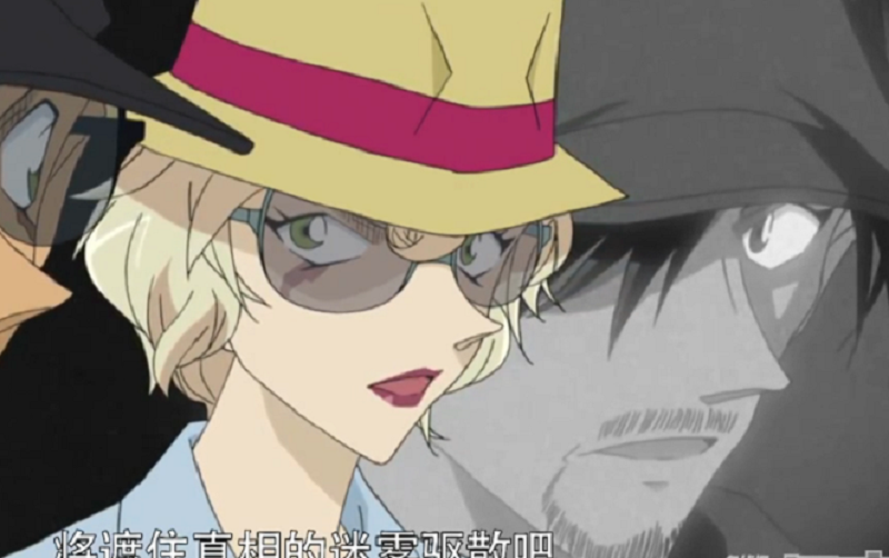 名侦探柯南:赤井家的异类,秀吉给宫本由美错误印象,秀一不可爱