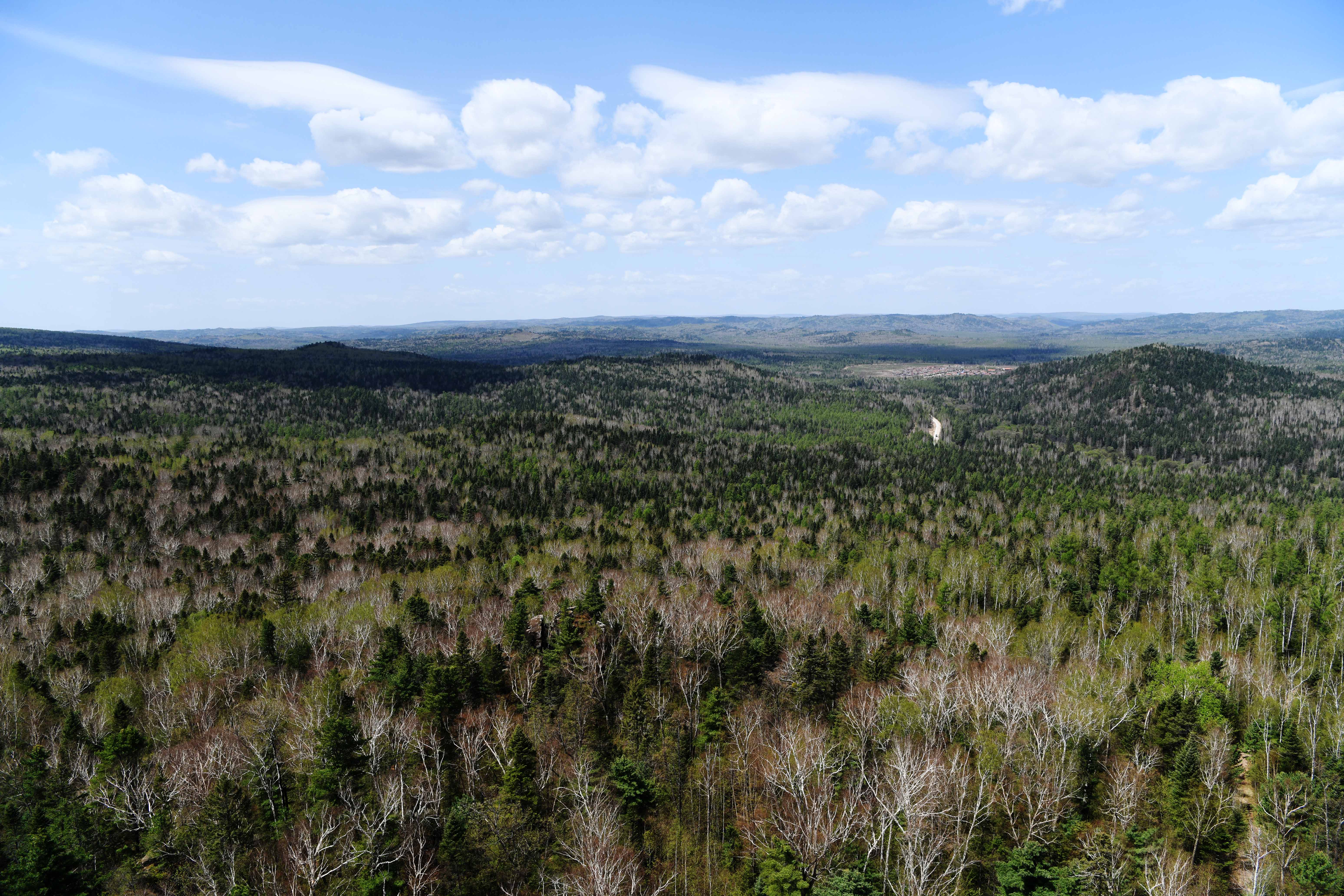 走进黑龙江小兴安岭石林国家森林公园