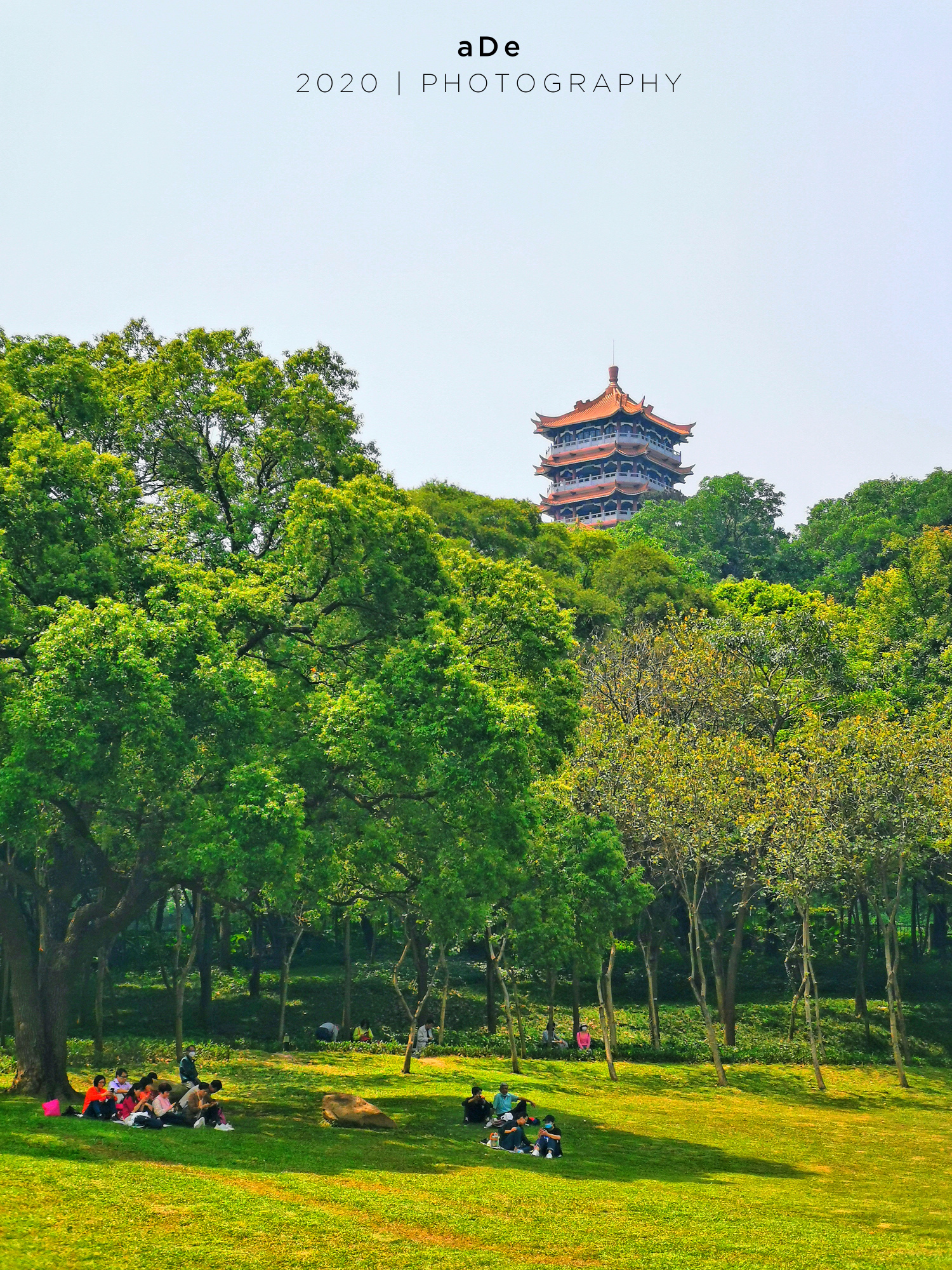 麓湖公園在廣州市中心的世外桃源