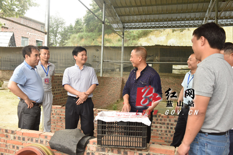 秦志军:走出一条具有地方特色的产业脱贫之路