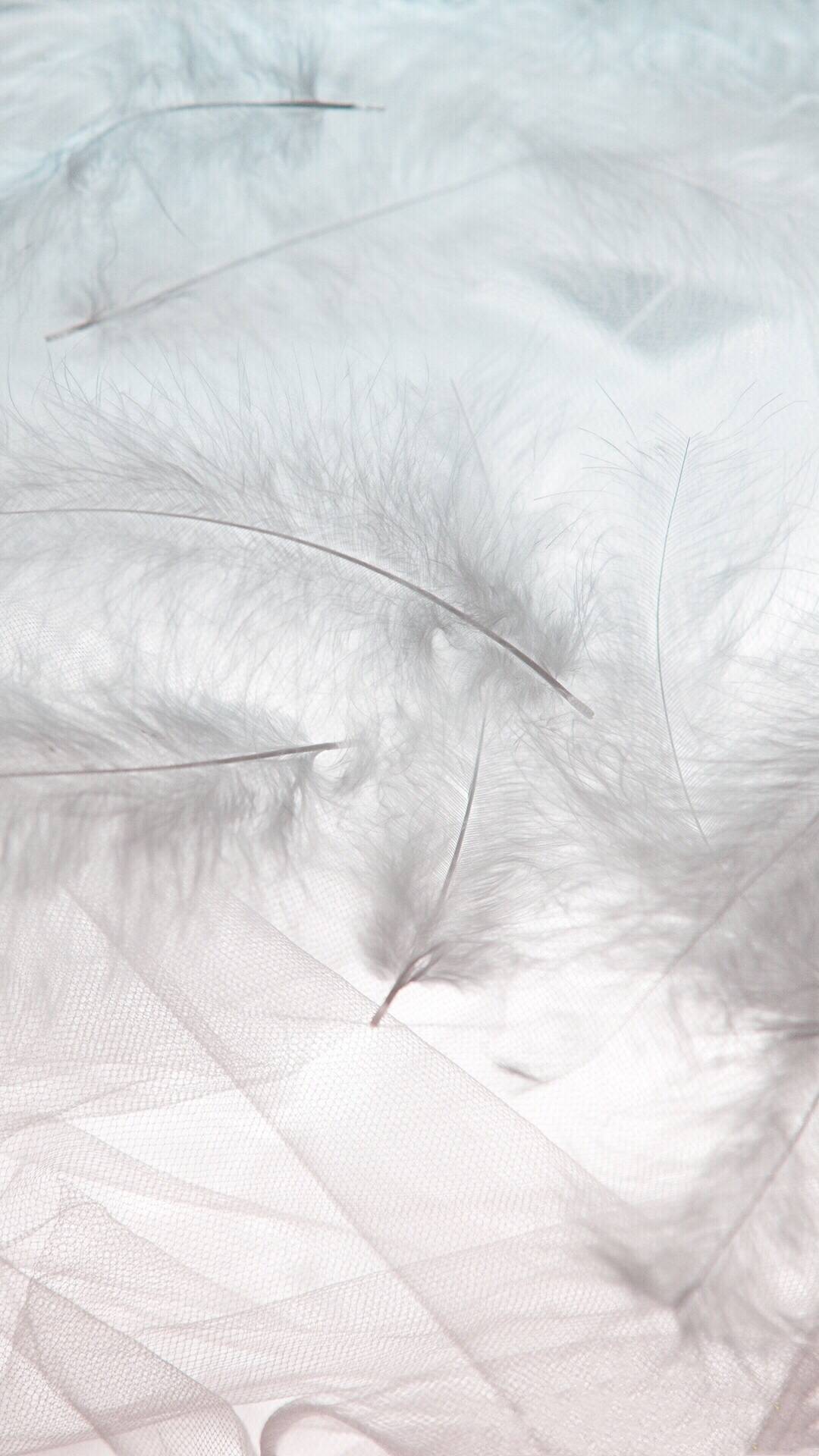 特别梦幻的彩云和羽毛壁纸!云控和羽毛控不容错过!少女心必备!