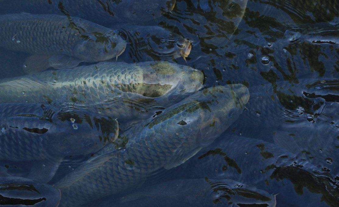 干水- 热门商品专区