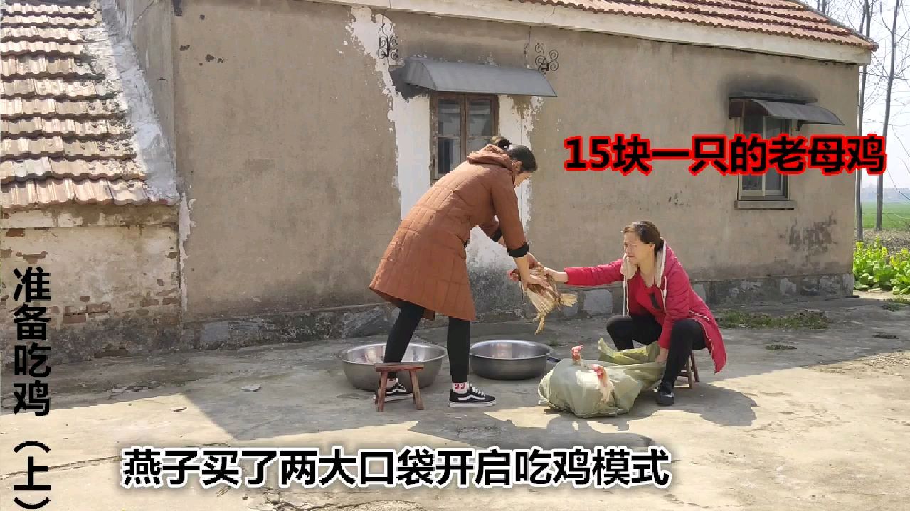 老母鸡15块钱一只买了两大口袋准备吃鸡