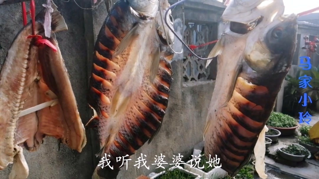 年底各种腊货都腌点,看小玲家腌那些腊货,有的晒出油闻着都香