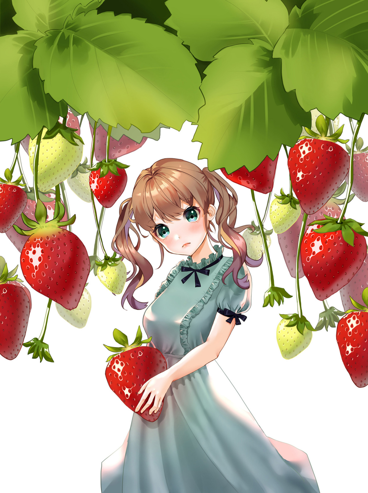 精选草莓特辑,可爱的集合体