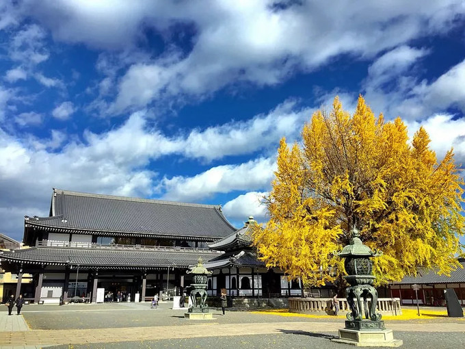 这6个著名景点,是看银杏的好选择!京都西本愿寺