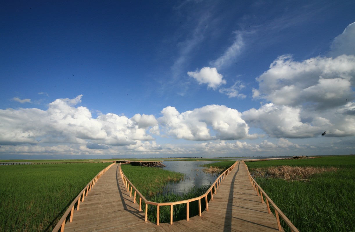 除了北京市汽车博物馆,厦门科技馆以外,这些趣味无穷的旅游景点你听过