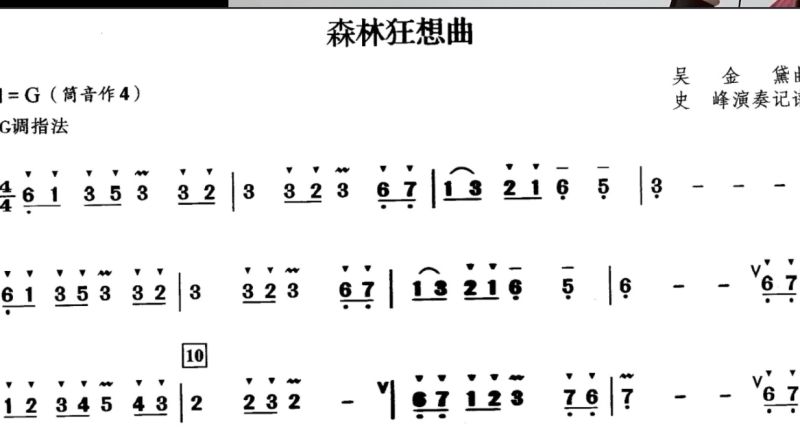 森林狂想曲简谱 竖笛演奏练习 音乐 器乐 好看视频