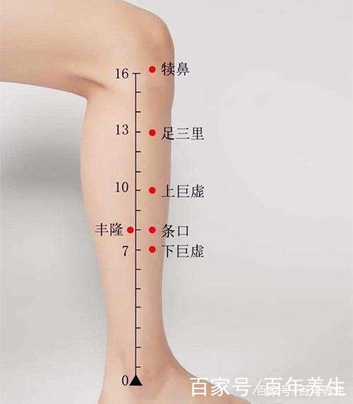 犊鼻穴:治疗关节炎的"小能手"!