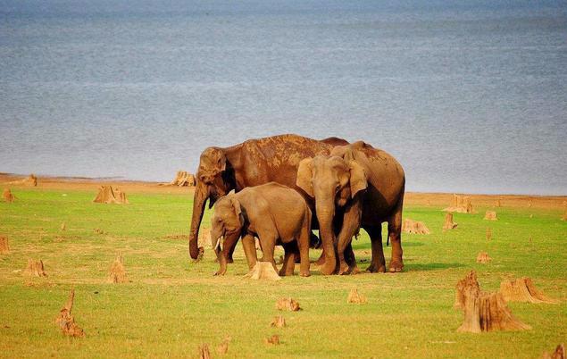 象集 baijiahao.baidu.com