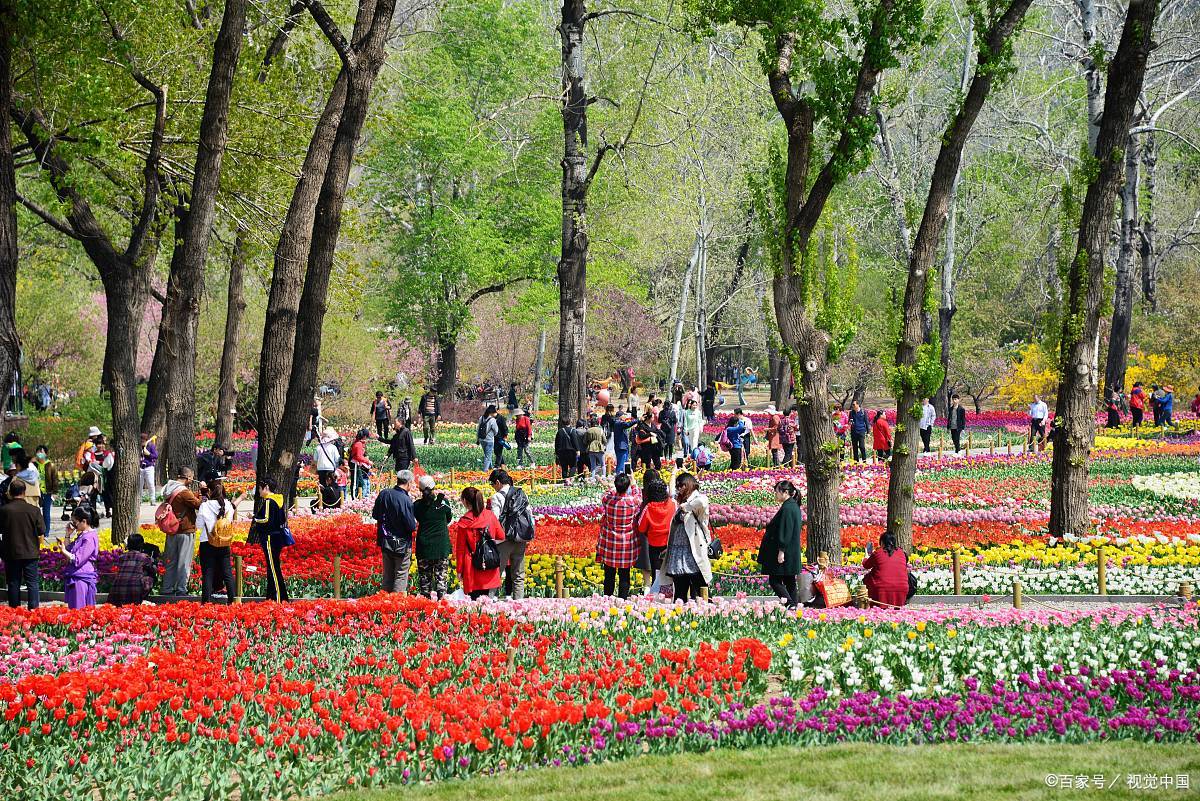 北京植物园一日游攻略,为你准备好,建议收藏分享