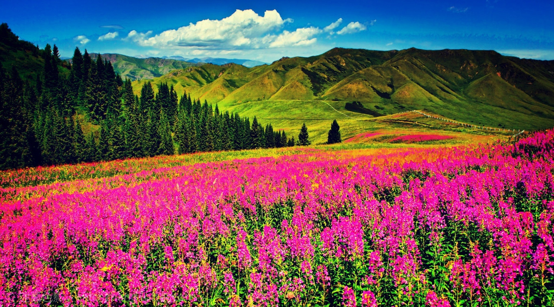 被称为"人间净土"的夏尔西里,究竟有什么魅力?