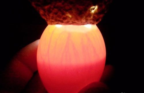 第八天照蛋可看到小鸡单眼,手机照的不清楚.