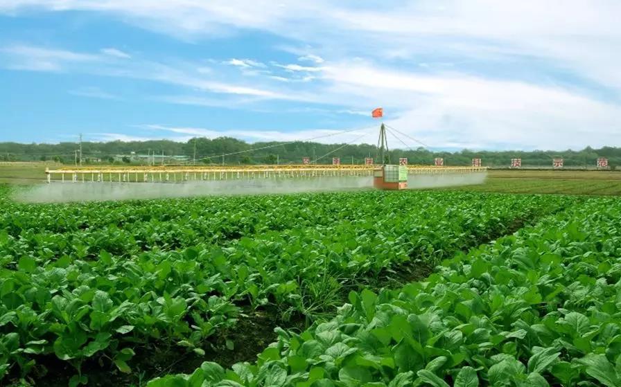 《纲要》提出将高水平打造惠州粤港澳绿色农产品生产供应基地