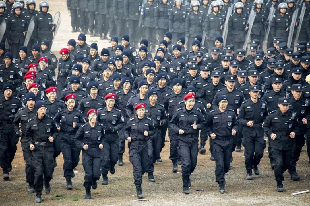 一弹双孔,高速滑降……全国公安特警维稳处突实战汇报演练在山东济南