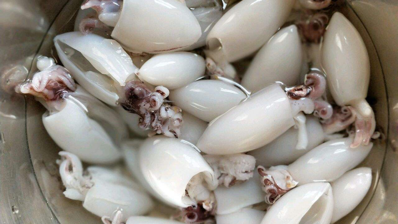 墨鱼仔超好吃的做法,香辣入味,鲜味十足,这样吃真过瘾