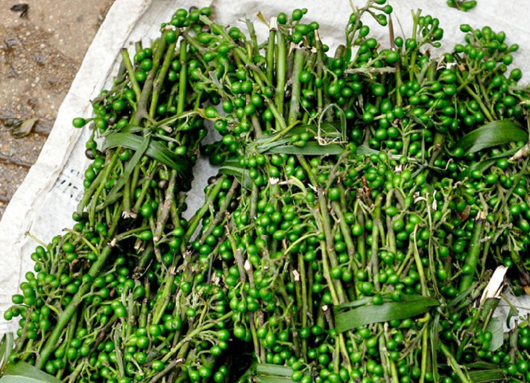 木姜子我童年挥之不去的乐趣和忘不了的味道