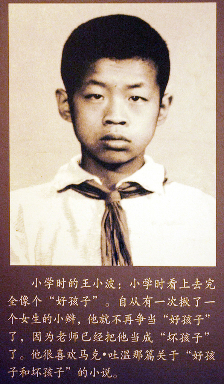 在当代文坛,王小波的名字及其作品已成为一股不可忽视的力量