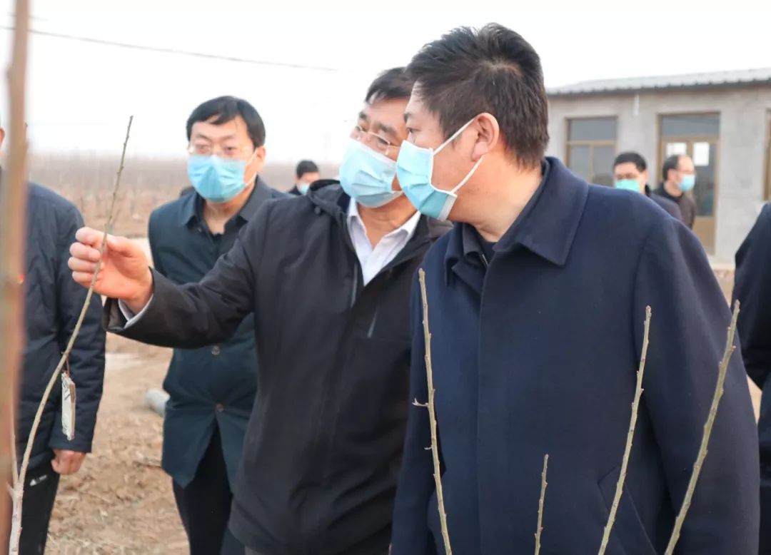 柏乡县委书记张士民就全域旅游和产业融合发展工作进行调研