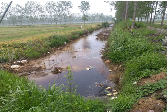 触目惊心:江苏东海又现浓酸渗坑