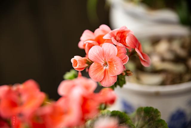 snapseed指划修图技巧,别被后期修图所累,这应该是个享受的过程