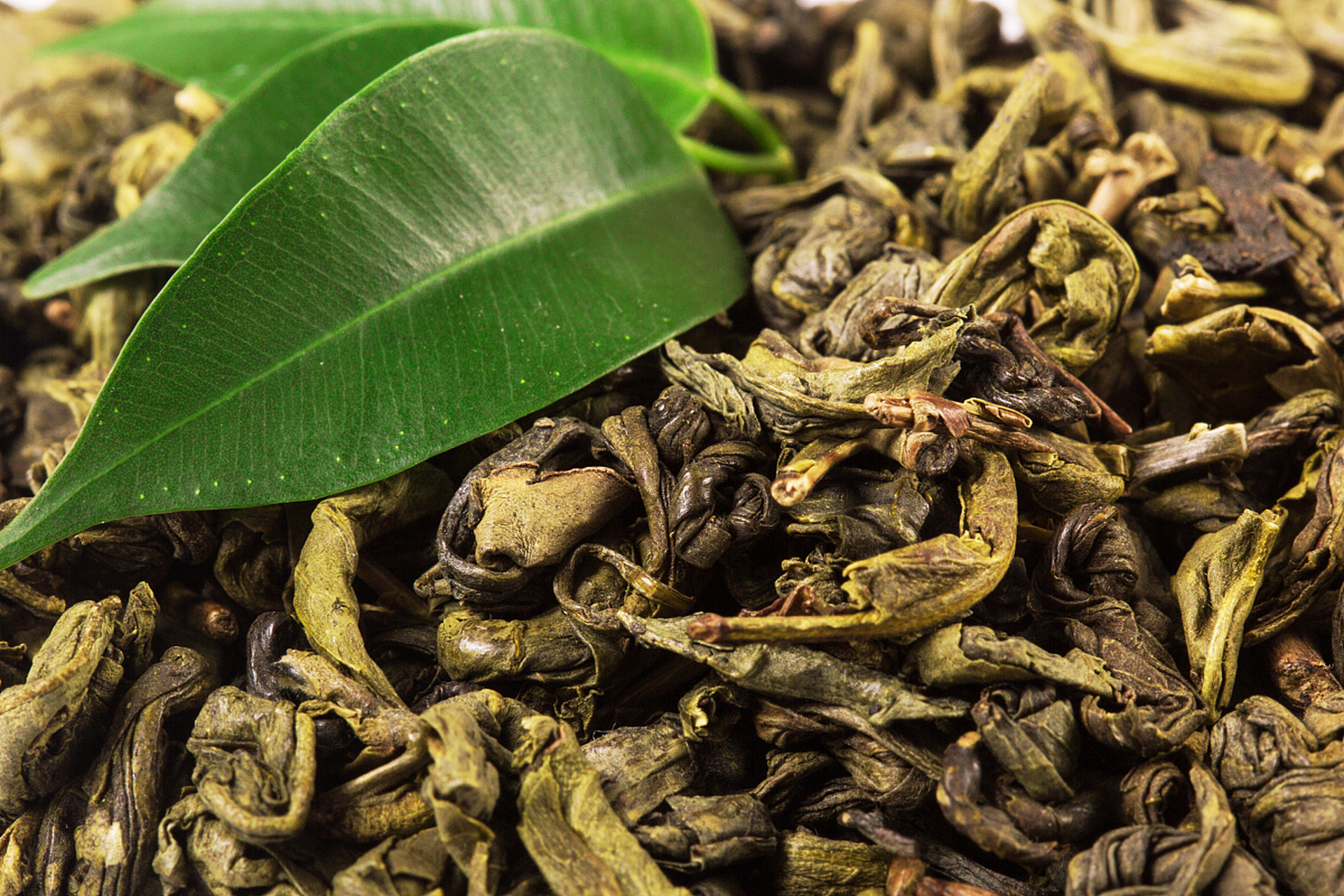 鹧鸪茶的作用是什么	 鹧鸪茶具有减肥,消食利胆,健脾