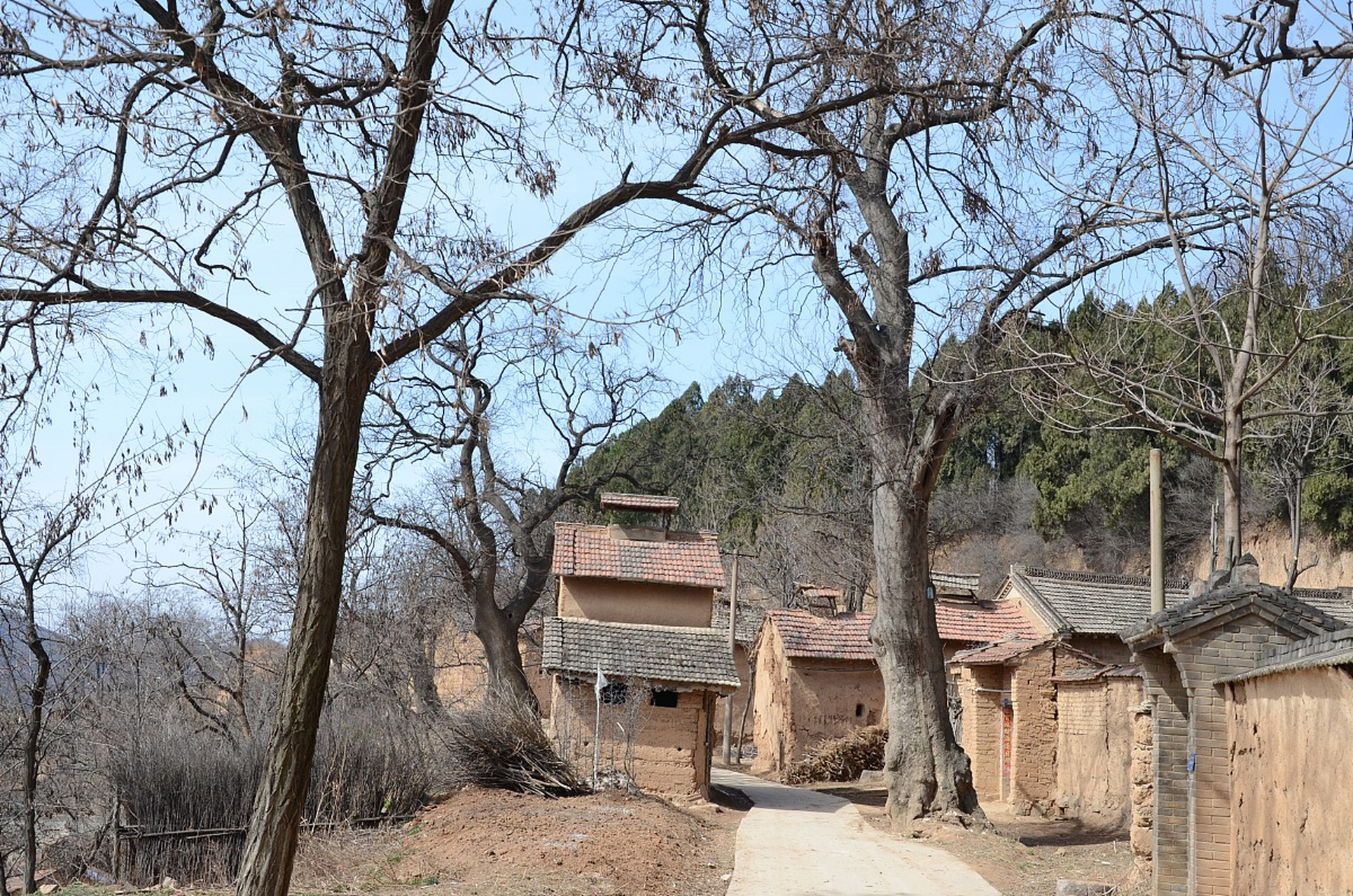 陕西朱家湾村#是一个非常美丽的古村落,位于陕西省渭南市合阳县,拥有