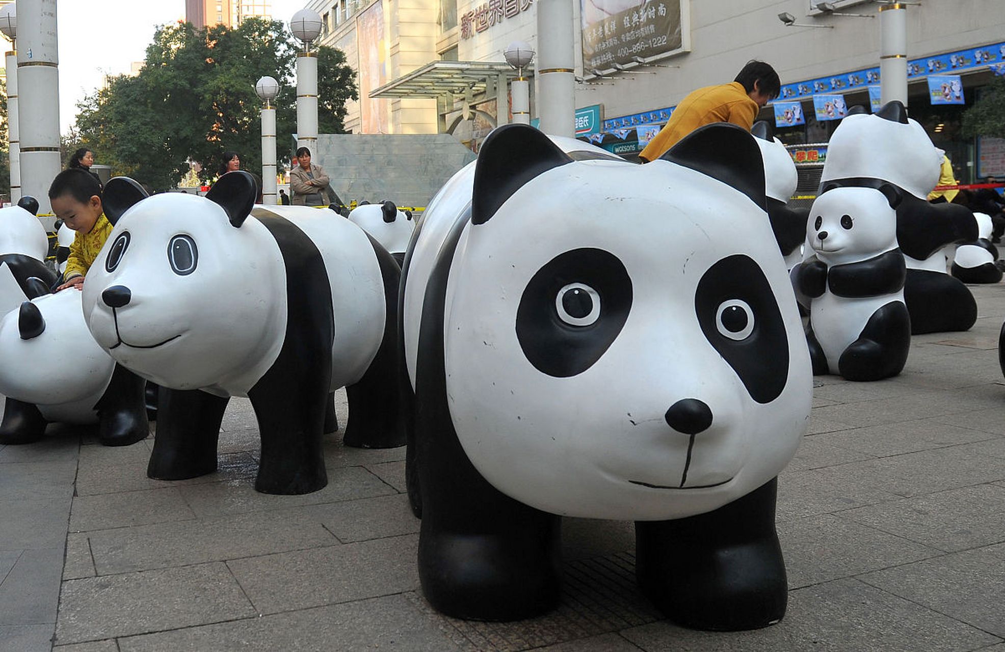 作为国宝级熊猫,福宝在韩国的影响力可谓巨大,从它踏入韩国土地的那一